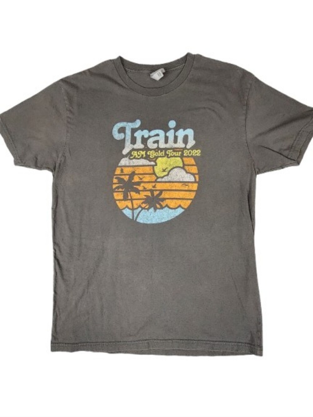 Train AM Gold Tour 2022 Graphic T‑Shirt Charcoal Gray Large Next Level